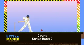 Little Master Cricket screenshot 2