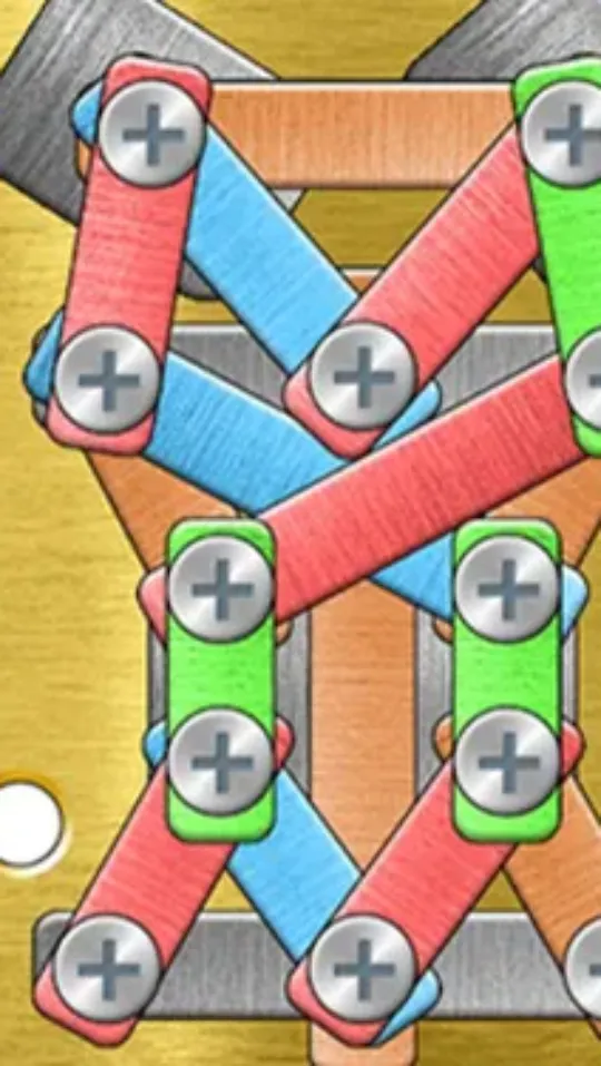 Screw Bolts Puzzle screenshot 1