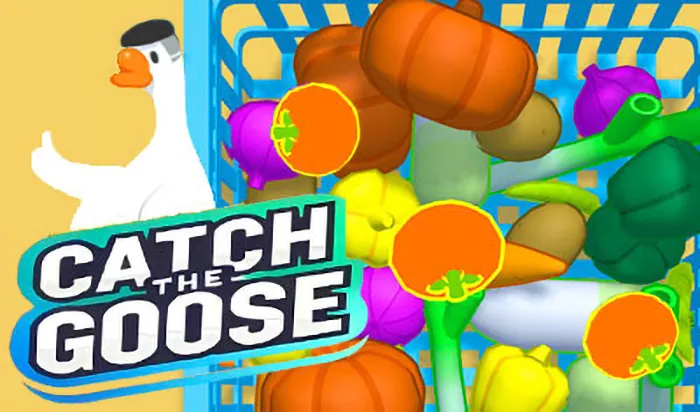 Catch The Goose