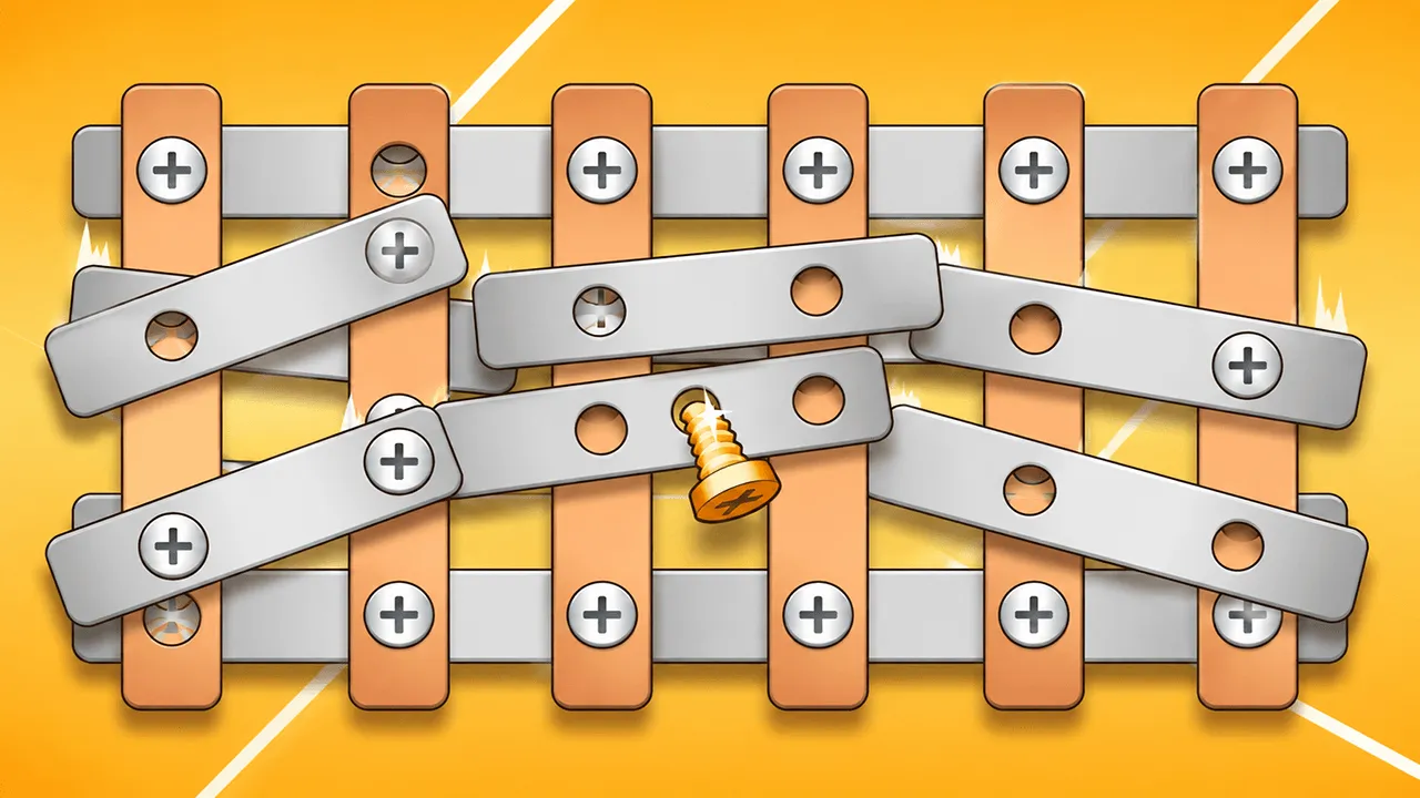 Nut & Bolt Pin Puzzle Game