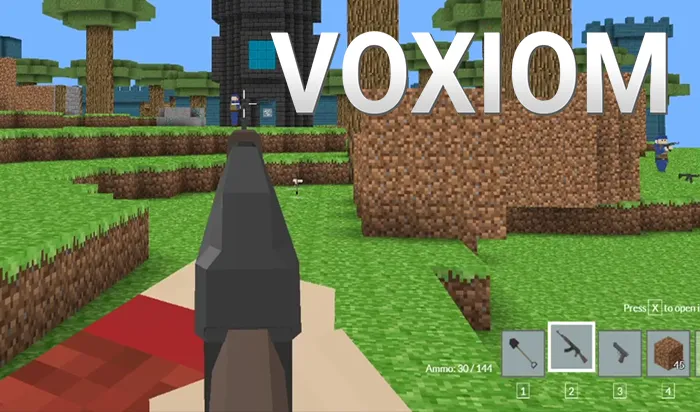 voxiom