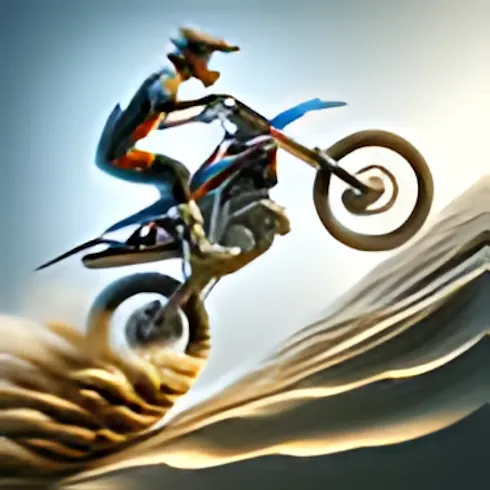 Enduro Cross Motorsport
