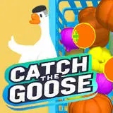 Catch The Goose