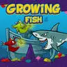 Growing Fish