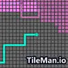 TileMan.io