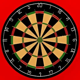 Darts Pro