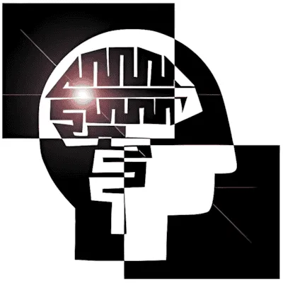 Memory Match Jungle Animals