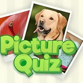 Picture Quiz