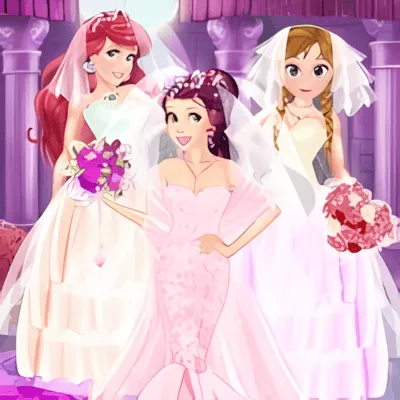 Princess Belle Dress Up